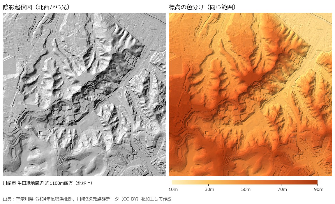 生田緑地周辺の陰影起伏図（左）と標高の色分け（右）。左で暗く見える帯は、右では高い尾根の南東側の斜面にあたる