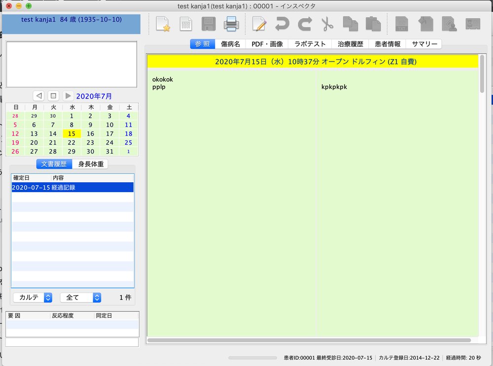 OpenDolphinのカルテ入力画面